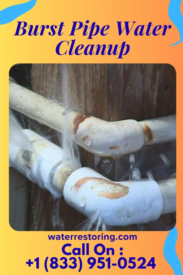 Burst Pipe Water Cleanup in Harbor Hills, NY