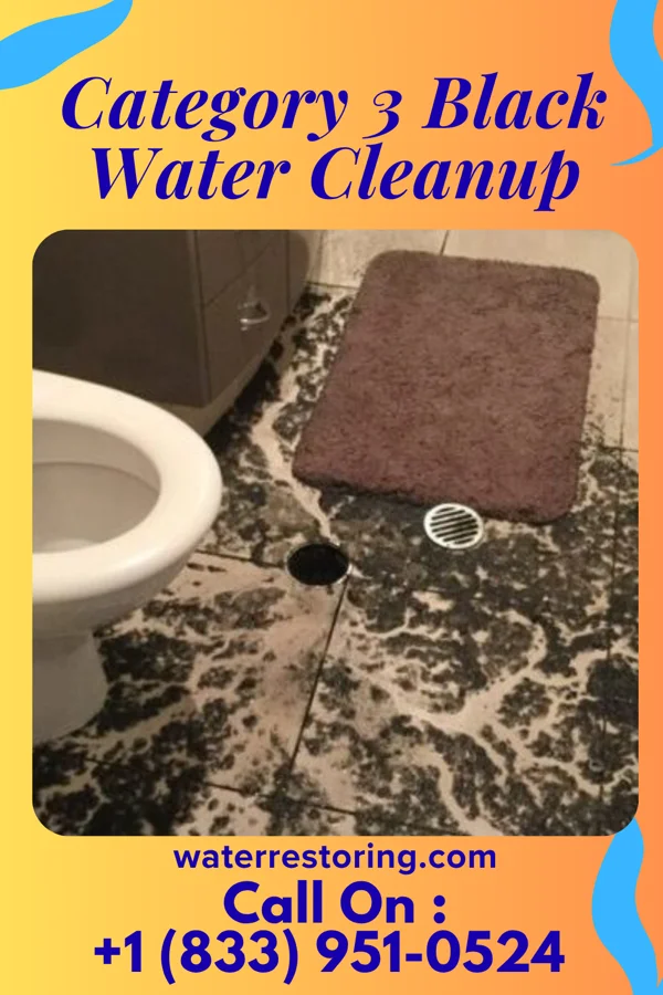 Category 3 Black Water Cleanup in Harbor Hills, NY