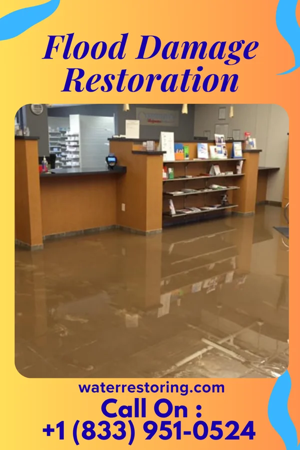 Flood Damage Restoration in Harbor Hills, NY