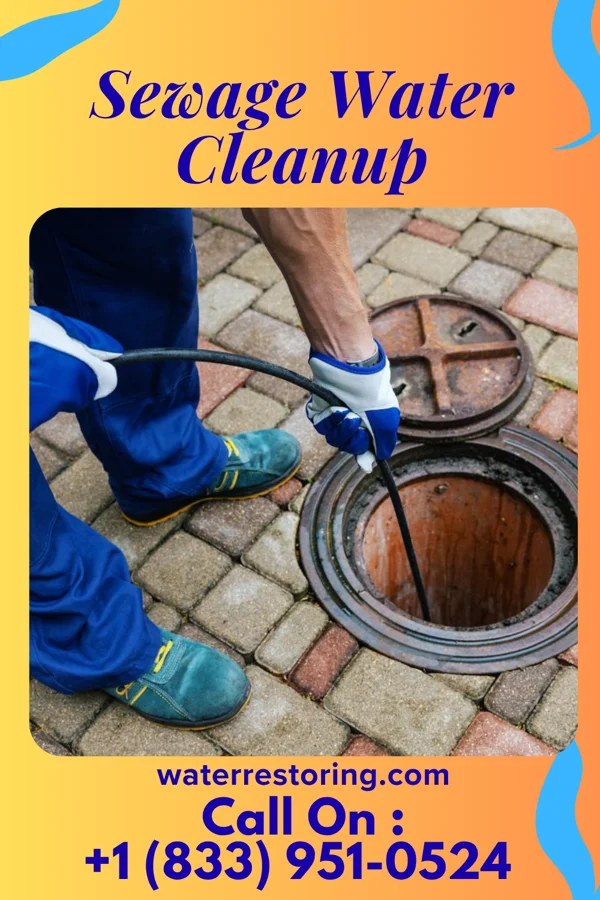 Sewage Water Cleanup in Harbor Hills, NY