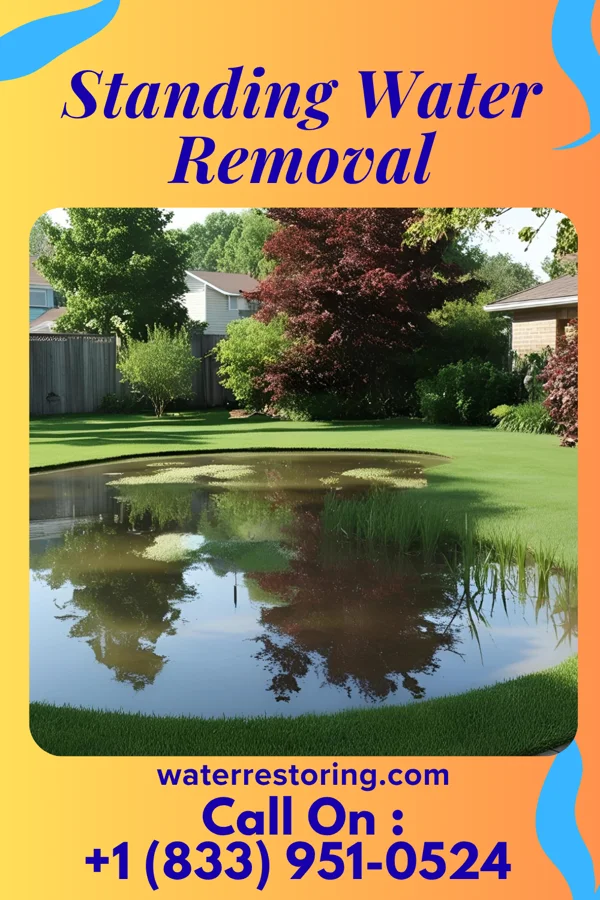 Standing Water Removal in Harbor Hills, NY